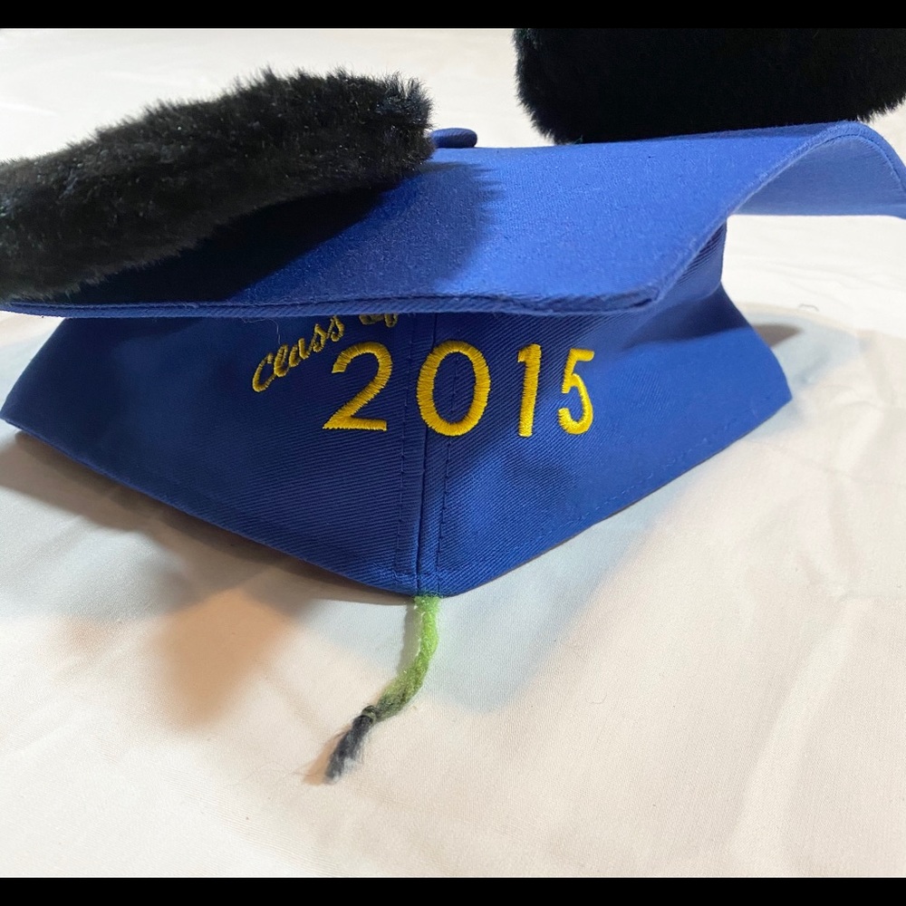 Disney Graduation Cap